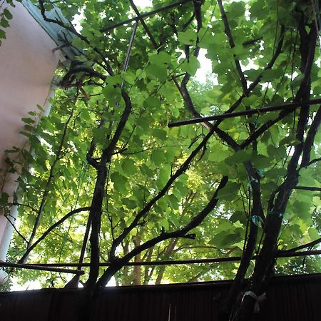 Hostel Old City Sololaki ティビリシ エクステリア 写真