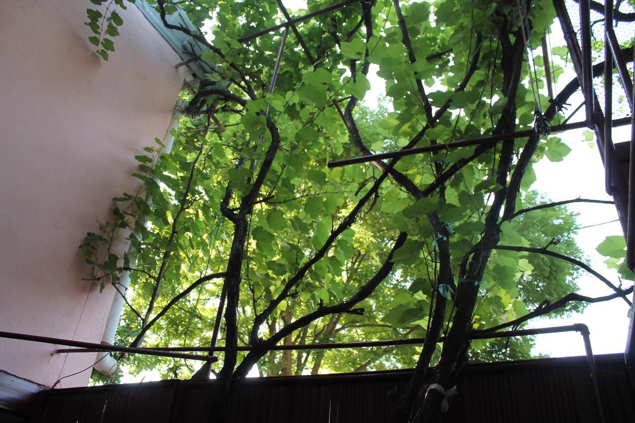 Hostel Old City Sololaki ティビリシ エクステリア 写真